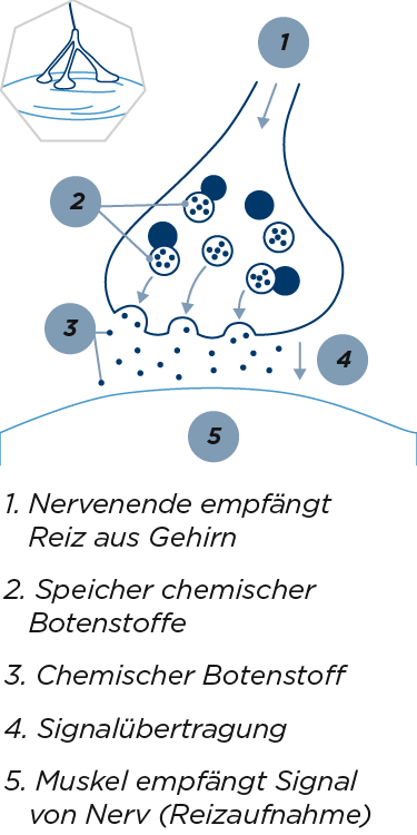 Signalübertragung
